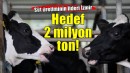 Süt üretiminin lideri İzmir.. Hedef 2 milyon ton!