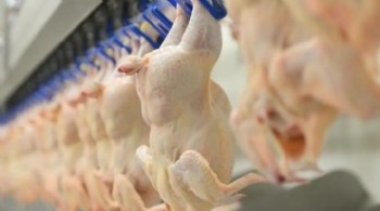 Ticaret Bakanlığı kanatlı eti ihracatını durdurdu