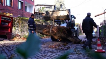 Tire Belediyesi’nden fırtına mesaisi