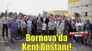 Toprakta dayanışma, sofralarda umut