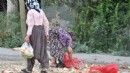 Türkiye Dünya Sefalet Endeksi'nde 10. sırada!