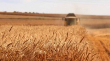 Türkiye genelinde 3 bin 327 tarla, 211 bağ, 32 traktör ve 18 tarım makinesi icra yoluyla satışa çıkarıldı