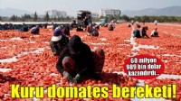 Türkiye ilk yarıda kurutulmuş domatesten 60 milyon 989 bin dolar kazandı