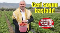Uluslararası Emiralem Çilek Festivali için geri sayım