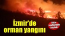 Urla'da orman yangını