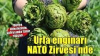 Urla’nın sakız enginarı NATO Zirvesi’nde