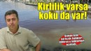 Uzman isim İzmir Körfezi'nde balıkları öldüren 'o' bakterileri açıkladı!