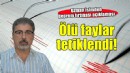 Uzman isimden deprem fırtınası açıklaması... ''Ölü faylar tetiklendi''