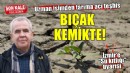 Uzman isimden tarıma acı teşhis... BIÇAK KEMİKTE!