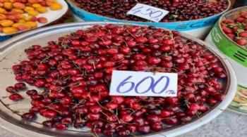 Vatandaş kiraza hasret kaldı: En ucuzu 500 TL! 1000 liraya kadar çıkıyor