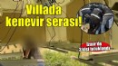 Villada kenevir serası...3 kişi tutuklandı!
