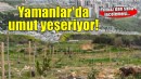 Yamanlar'da umut yeşeriyor: Yılmaz'dan saha incelemesi!