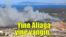 Yine Aliağa yine yangın!
