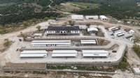 Yunusemre'de Hayvan Yaşam Merkezi açılıyor