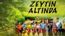 Zeytin Altında konserleri MAV Cello Ensemble ile başlıyor