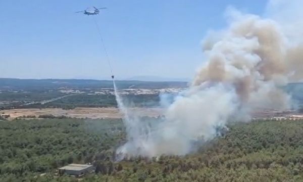 İzmir'de orman yangını