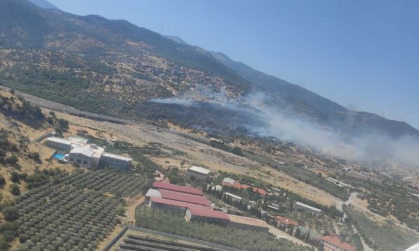 Menemen'de orman yangını...