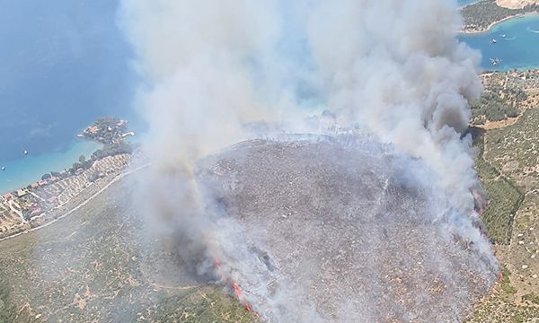 Karaburun'da orman yangını... 