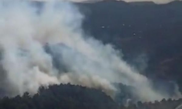 Bergama'da orman yangını!